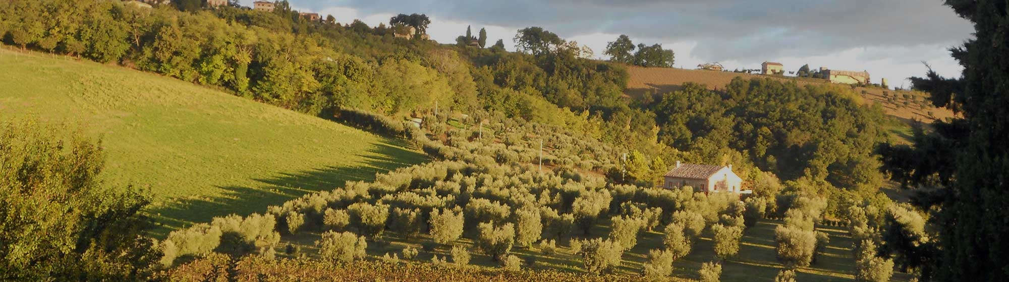 Azienda Agricola Senzacqua