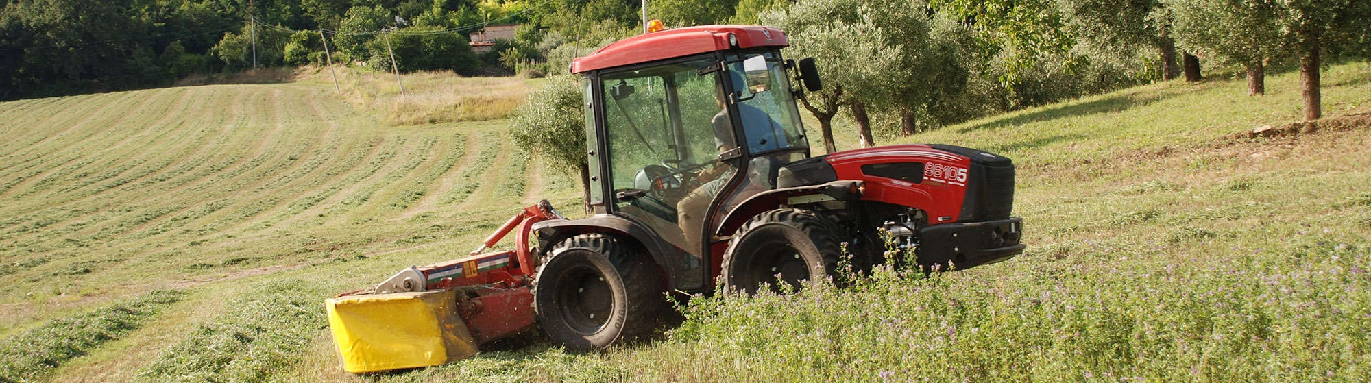 Produttori di qualità